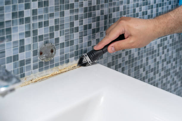 Best Mold Damage Repair  in Agler Estates, FL